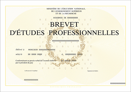 Brevet d'Études Professionnelles