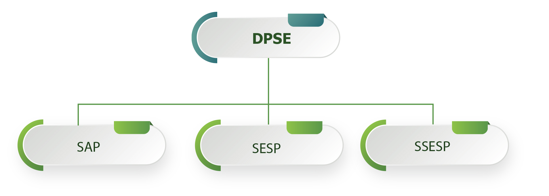 Formation Professionnelle